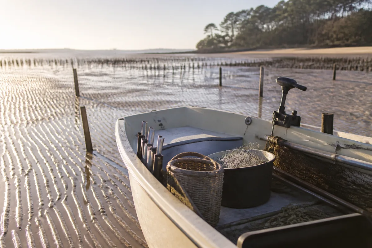 Guide de pêche à Arcachon : ce que couvre l'accompagnement