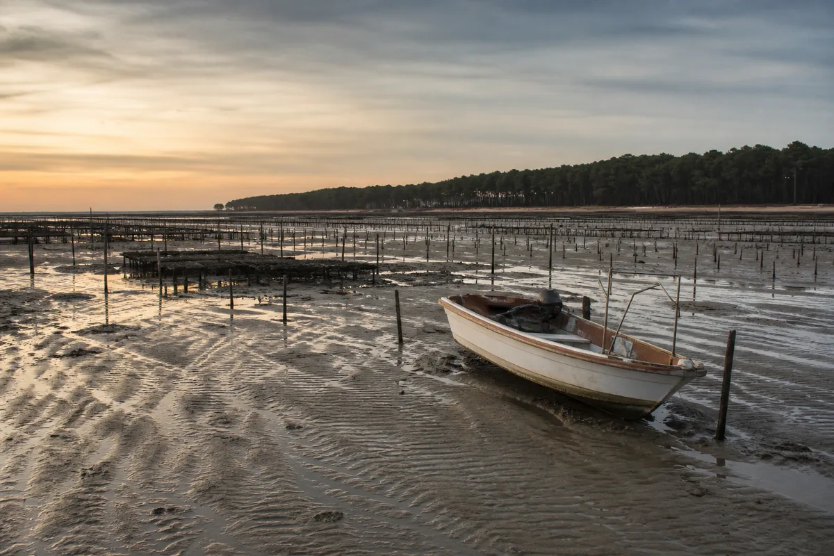 Au coeur de pêche du bar
