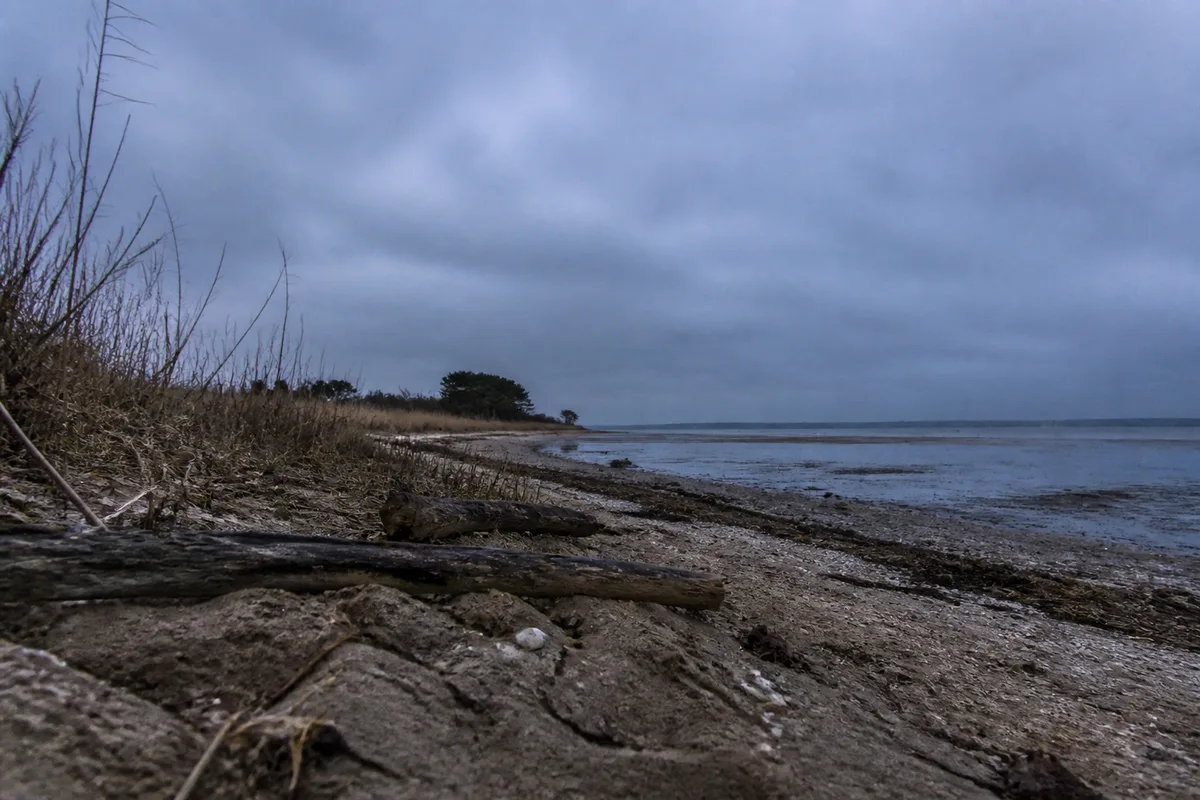 Rivage désert du bassin d&rsquo;Arcachon par une matinée d&rsquo;hiver, ciel bas et eau grise